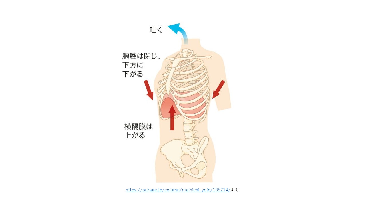 腰痛と呼吸